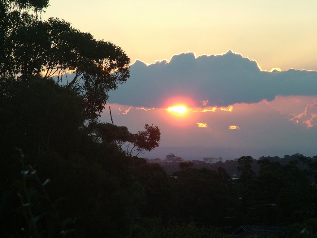 DSCF6566.JPG